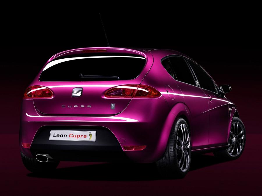  Seat Leon Cupra Pies Descalzos 2007 года  (фото 2 из 14)